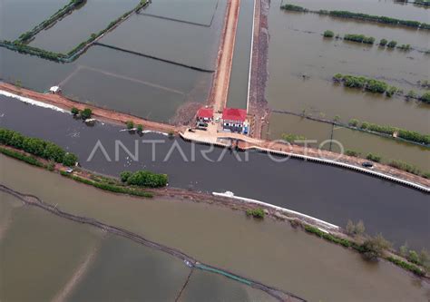 Tanggul raksasa pengendali banjir rob - ANTARA News - raincitystudios.com