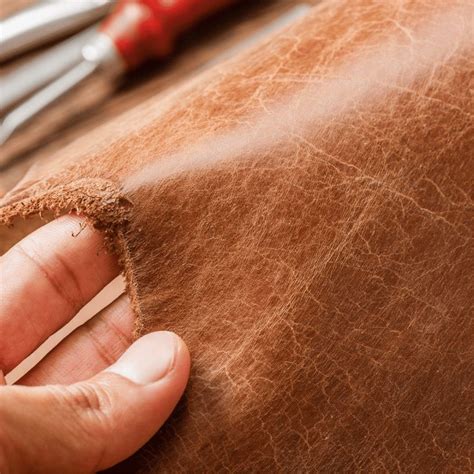 Tanning (leather) - wintechmobiles.com