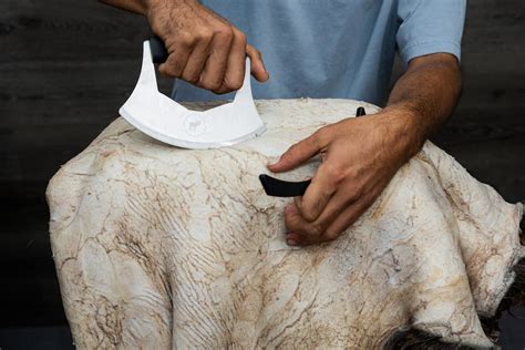 Tanning A Hide: A Step-by-Step Guide To Success - TrailBlissHub - balustradellc