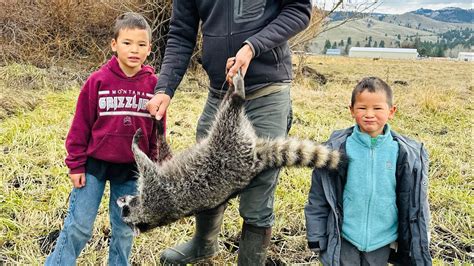 Tanning a Raccoon Hide Start to Finish - balustradellc