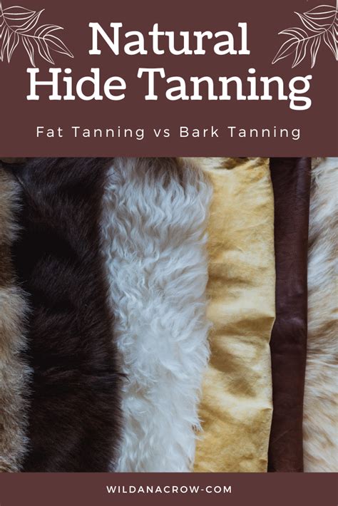 Tanning Fur Hides - balustradellc