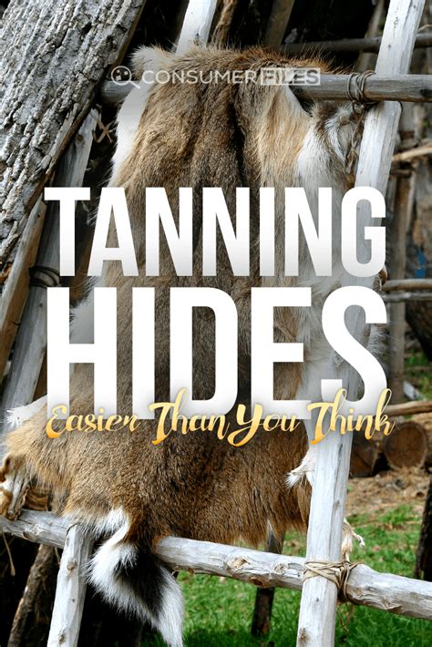 Tanning Hides 2026: Easier Than You Think - balustradellc