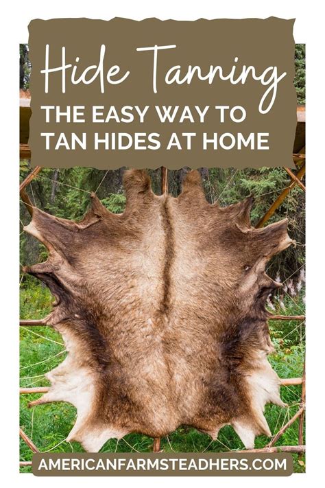 Tanning Your Own Hides at Home: The Best Guide - balustradellc
