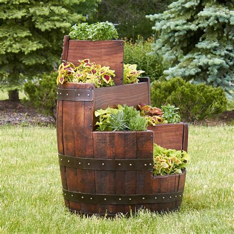 TAPPS - Lovely new plants and barrel planter from Tatws.