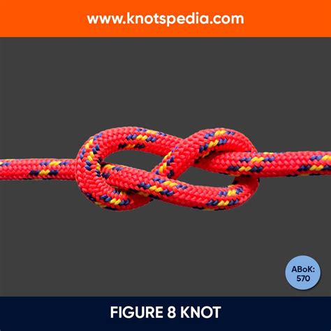 Tarp Pitching Techniques and Knots | PDF | Knot | Rope - balustradellc