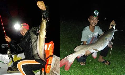 Tatacara Terbaik Memancing Pada Waktu Malam - balustradellc