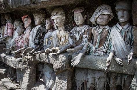 Tau Adalah - balustradellc