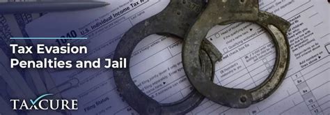 Tax Evasion Penalties and Other Consequences - FindLaw - balustradellc