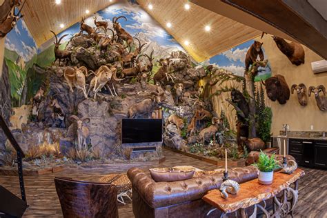 Taxidermy Room Ideas - balustradellc