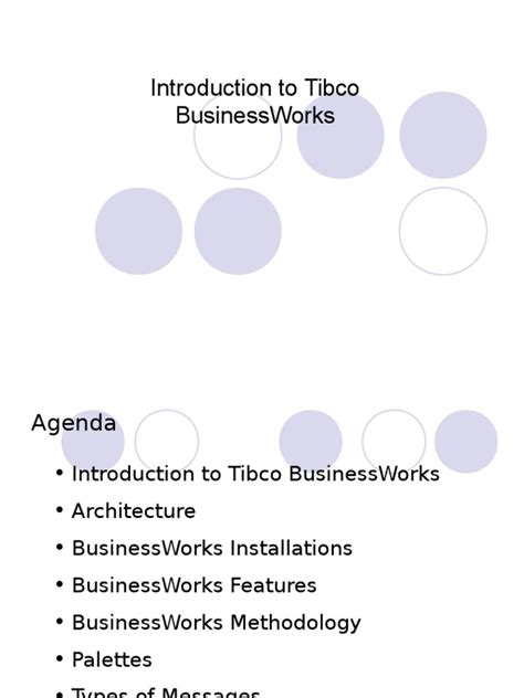 TCA-Tibco-BusinessWorks PDF Demo