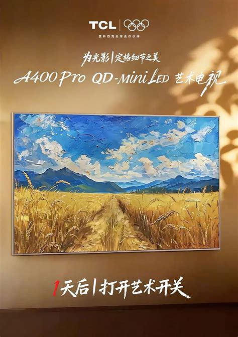 Tcl A400 Pro Price - balustradellc