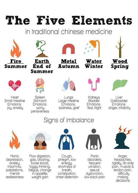 TCM Student: Five Phase Treatments