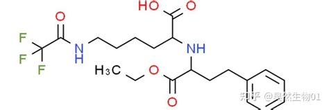 TCO-Transferrin;反式环辛烯-聚乙二醇-转铁蛋白