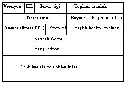 TCP Segmenti Vikipedi. 