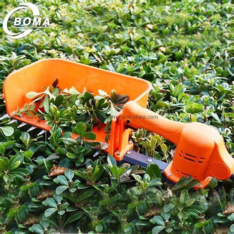 Tea leaf plucking picking machine - handheld tea … - balustradellc
