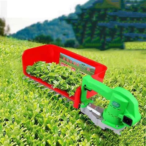Tea Picker | Battery Operated Electric Tea Harvester - balustradellc