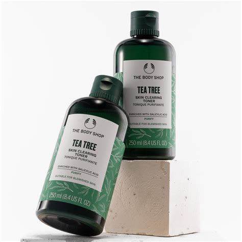 Tea Tree - Melaleuca alternifolia | Mayernik Kitchen - raincitystudios.com