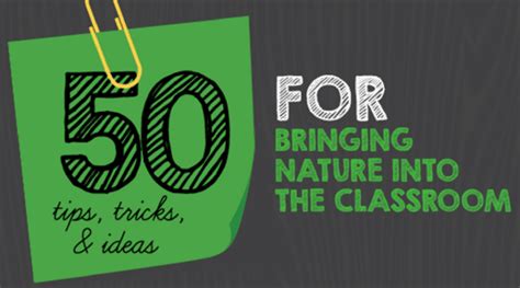 Teach with Nature with these 50 Tips, Tricks, and Ideas - balustradellc