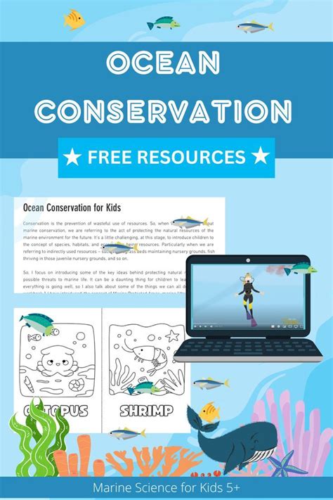 Teaching Kids About Marine Conservation - In The Playroom - raincitystudios.com