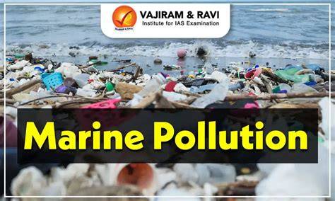 Teaching Kids About the Effects of Marine Pollution - raincitystudios.com