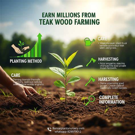 teak farming – Esplineco - raincitystudios.com
