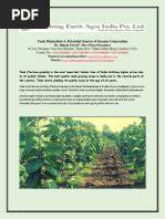 Teak Plantation Profitability Guide | PDF | Plantation - raincitystudios.com