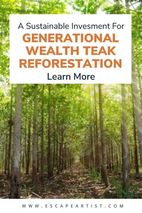 Teak Reforestation: A Sustainable Investment for … - raincitystudios.com