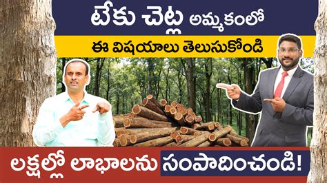 Teak wood farming profit per acre in USA - Signup Trending Nature - raincitystudios.com