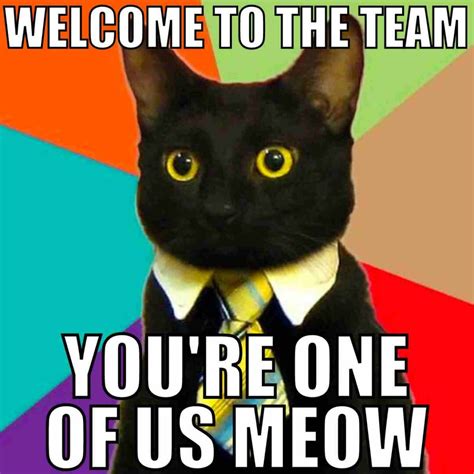 Team - Heracles Almelo - muktibox.com