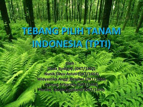 Tebang Pilih Tanam (TPT) - raincitystudios.com