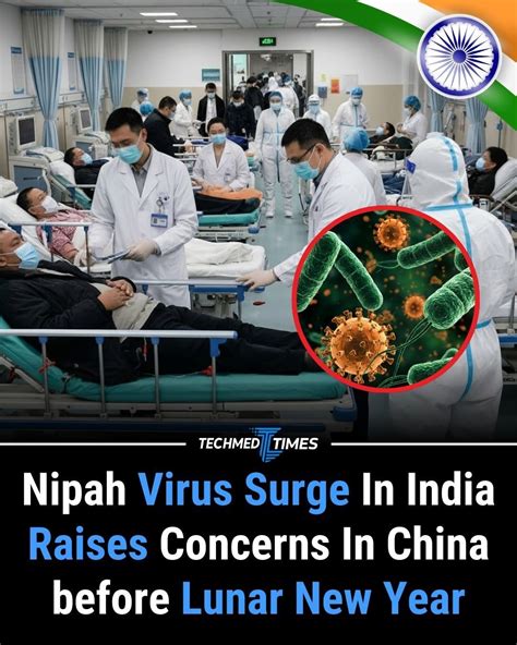 Techmed Times - Quantum physics continues to reveal a... - balustradellc