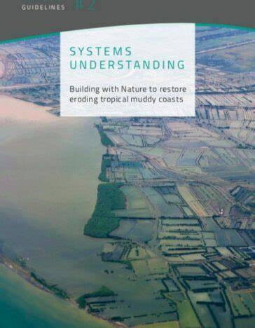 Technical guidelines released for restoring eroding … - raincitystudios.com