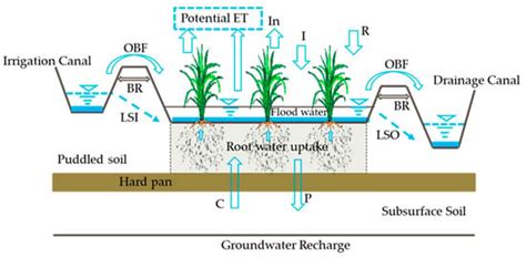 Technical standards of irrigation and drainage management in paddy ... - wintechmobiles.com