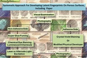Techniques for processing porous and nonporous surfaces for latent ... - wintechmobiles.com