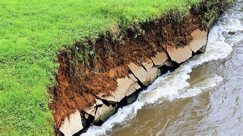 Techniques to Restore Eroded Riverbank Vegetation - Live to Plant - raincitystudios.com