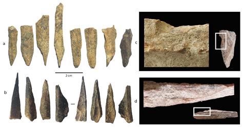 Technology of Toala Bone Artefacts and Neolithic Cultural ... - BRIN - wintechmobiles.com