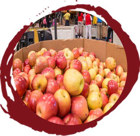 TEFAP Factsheet | Food and Nutrition Service - raincitystudios.com