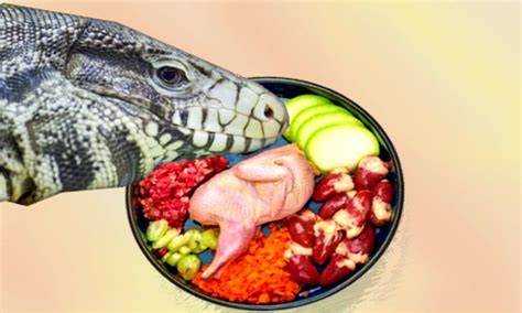 Tegu Meal Prep: Tegu Mash & Patties Recipes - Pets … - raincitystudios.com