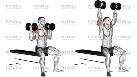 Tekan Overhead Berdiri Dengan Dumbbell - fitwill.app - balustradellc