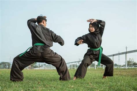 Teknik Beladiri praktis pencak silat - balustradellc