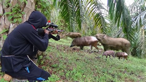 Teknik Berburu Babi Hutan - Fachrul Hidayat - balustradellc
