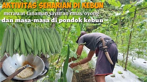 Teknik Berkebun di Hutan - Artikel - raincitystudios.com