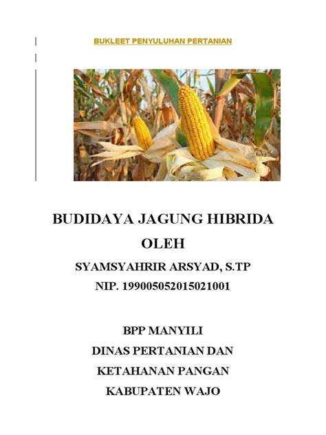 Teknik Budidaya Jagung Hibrida | PDF - Scribd - balustradellc