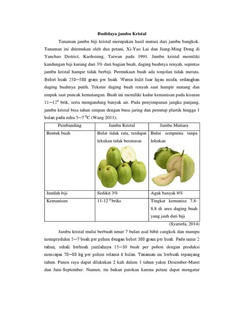 TEKNIK BUDIDAYA JAMBU KRISTAL - Trubus - balustradellc