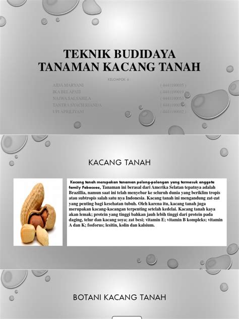 Teknik budidaya kacang tanah - PERTANIAN - balustradellc