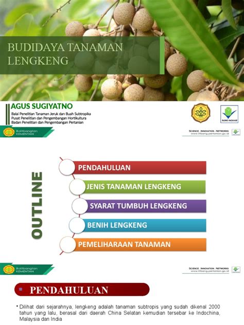 Teknik Budidaya Lengkeng - Final Artwork - balustradellc