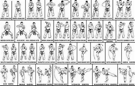 Teknik Dasar Olahraga Karate - balustradellc