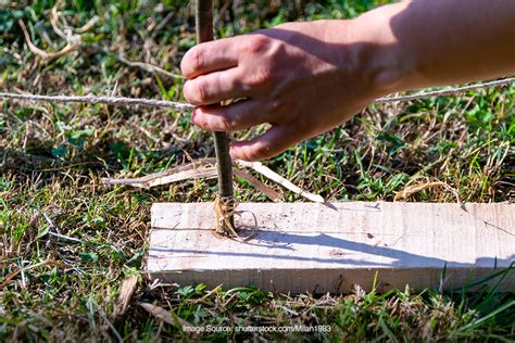 Teknik Membuat Api Tanpa Korek untuk Survival - balustradellc
