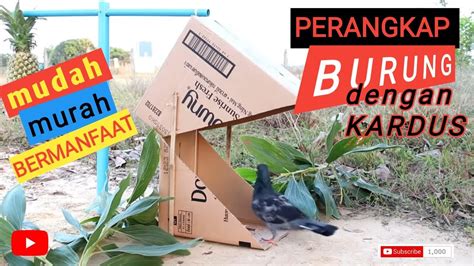 Teknik Membuat Perangkap Haiwan - balustradellc