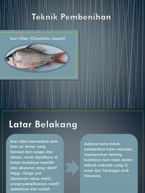 TEKNIK PEMBESARAN IKAN NILEM (Osteochilus hasselti) DI BALAI ... - balustradellc